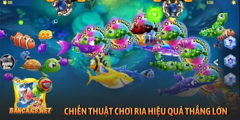 3+ mẹo chơi game bắn cá ăn xu đổi thưởng thắng lớn 2026 3 Chiến thuật chơi ria hiệu quả thắng lớn