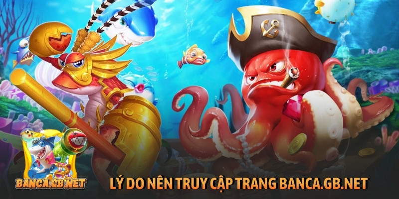 Lý do nên truy cập trang martinemccutcheon.net