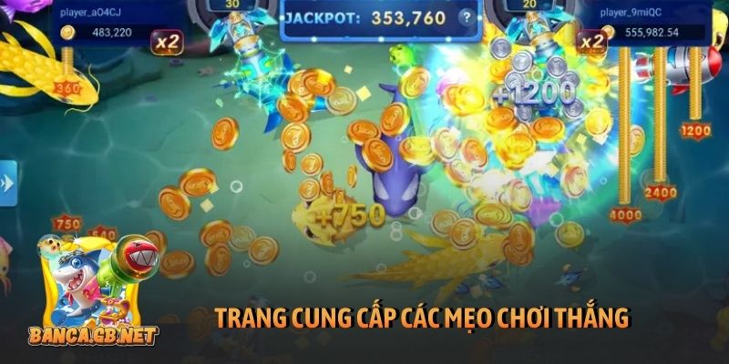 Từ những cú “sập hầm” đến khi tìm được trang chơi bắn cá chuẩn 3 Trang cung cấp các mẹo chơi thắng